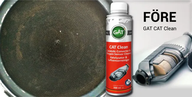 GAT CAT Clean